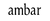 ambarstores.com